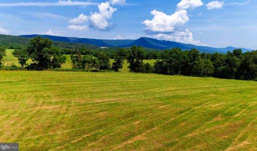 Photo #8 of 12 SHULER LN, STANLEY, VA 11.5 acres