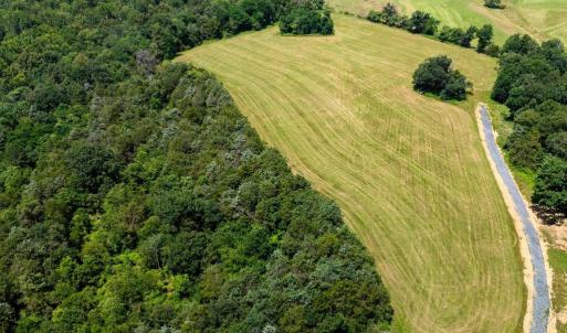Photo #11 of 12 SHULER LN, STANLEY, VA 11.5 acres