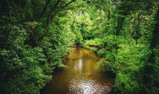 Photo #4 of MALLORYS FORD RD, LOUISA, VA 32.0 acres