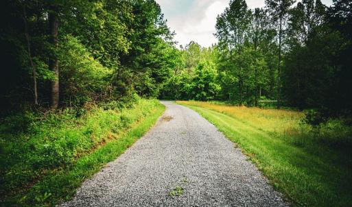 Photo #11 of MALLORYS FORD RD, LOUISA, VA 32.0 acres