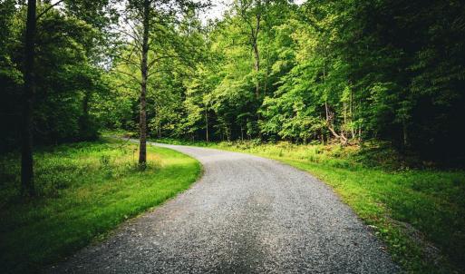 Photo #12 of MALLORYS FORD RD, LOUISA, VA 32.0 acres
