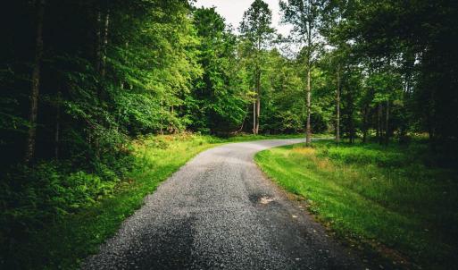 Photo #13 of MALLORYS FORD RD, LOUISA, VA 32.0 acres