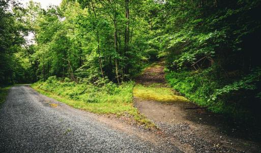 Photo #14 of MALLORYS FORD RD, LOUISA, VA 32.0 acres