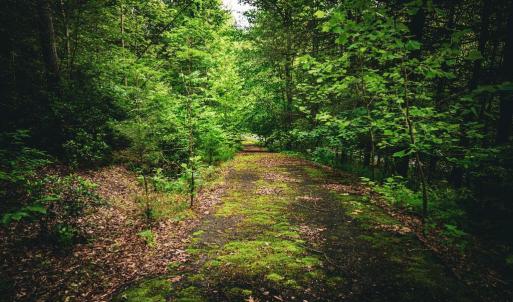Photo #16 of MALLORYS FORD RD, LOUISA, VA 32.0 acres