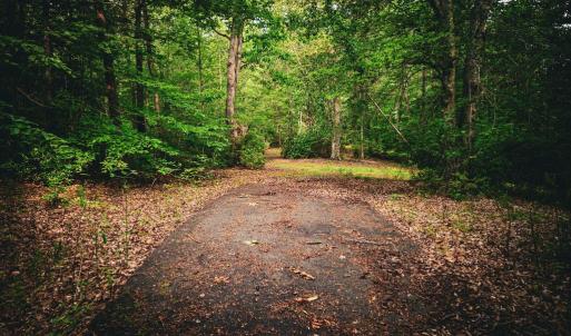 Photo #17 of MALLORYS FORD RD, LOUISA, VA 32.0 acres
