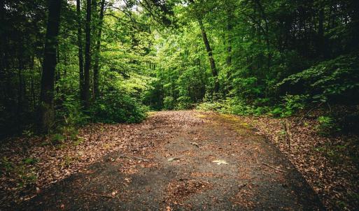 Photo #18 of MALLORYS FORD RD, LOUISA, VA 32.0 acres