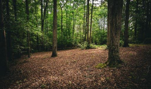 Photo #24 of MALLORYS FORD RD, LOUISA, VA 32.0 acres