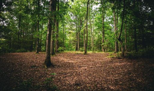 Photo #25 of MALLORYS FORD RD, LOUISA, VA 32.0 acres