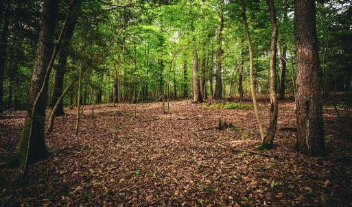 Photo #26 of MALLORYS FORD RD, LOUISA, VA 32.0 acres