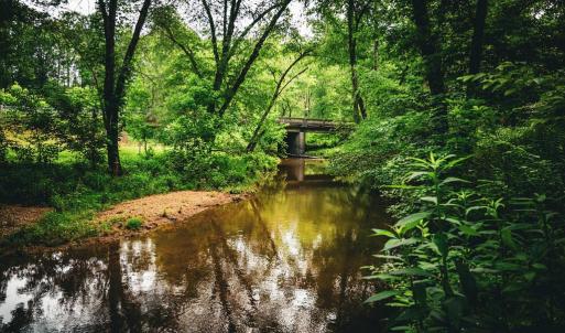 Photo #32 of MALLORYS FORD RD, LOUISA, VA 32.0 acres
