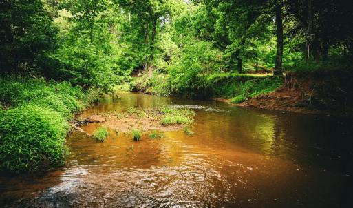Photo #33 of MALLORYS FORD RD, LOUISA, VA 32.0 acres