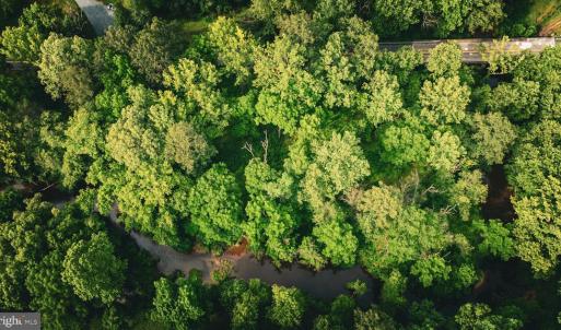 Photo #37 of MALLORYS FORD RD, LOUISA, VA 32.0 acres