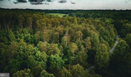 Photo #39 of MALLORYS FORD RD, LOUISA, VA 32.0 acres