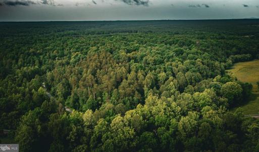 Photo #43 of MALLORYS FORD RD, LOUISA, VA 32.0 acres