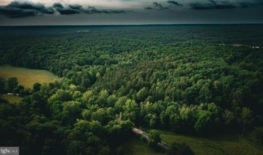 Photo #44 of MALLORYS FORD RD, LOUISA, VA 32.0 acres