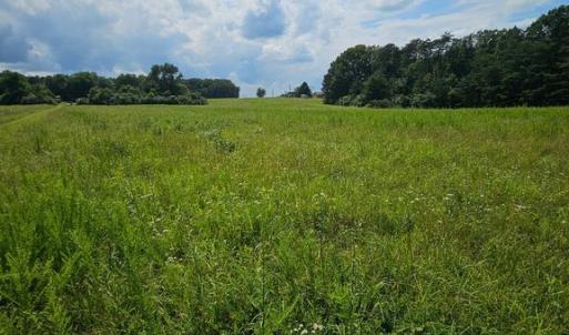 Photo #36 of 11145 BRENT TOWN RD, CATLETT, VA 36.9 acres