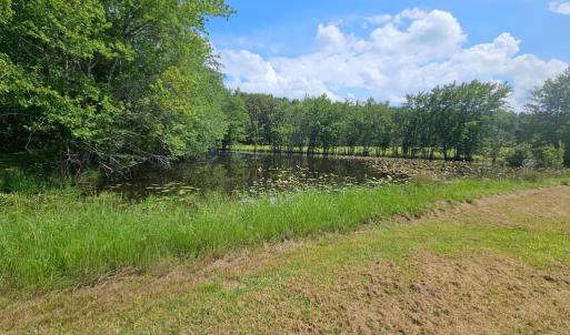 Photo #42 of 11145 BRENT TOWN RD, CATLETT, VA 36.9 acres