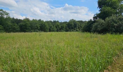 Photo #53 of 11145 BRENT TOWN RD, CATLETT, VA 36.9 acres