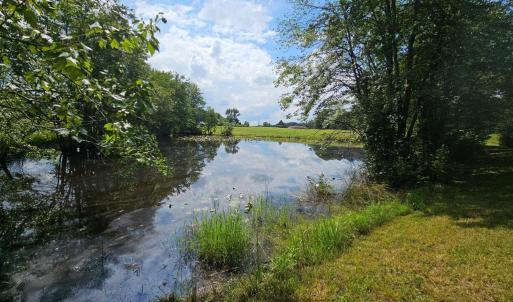 Photo #46 of 11145 BRENT TOWN RD, CATLETT, VA 36.9 acres