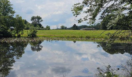 Photo #47 of 11145 BRENT TOWN RD, CATLETT, VA 36.9 acres