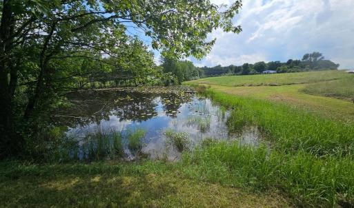 Photo #48 of 11145 BRENT TOWN RD, CATLETT, VA 36.9 acres