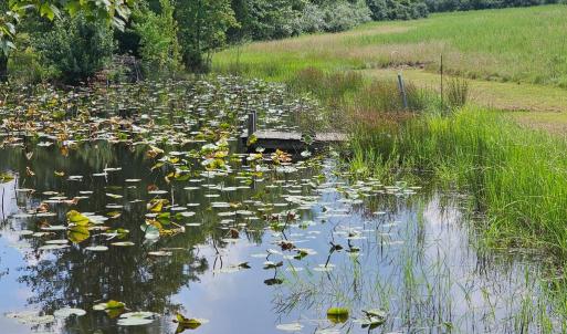 Photo #49 of 11145 BRENT TOWN RD, CATLETT, VA 36.9 acres