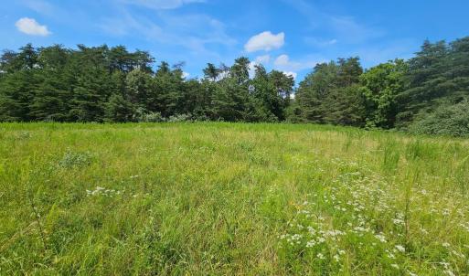 Photo #35 of 11145 BRENT TOWN RD, CATLETT, VA 36.9 acres