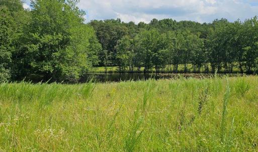 Photo #45 of 11145 BRENT TOWN RD, CATLETT, VA 36.9 acres