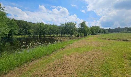 Photo #43 of 11145 BRENT TOWN RD, CATLETT, VA 36.9 acres