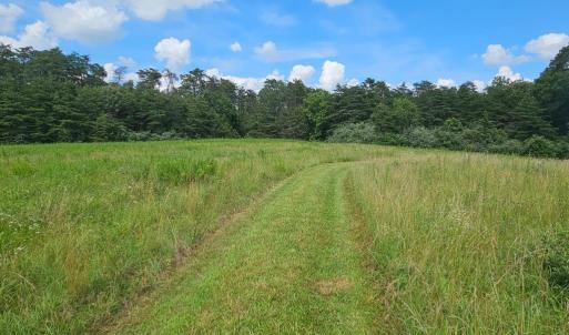 Photo #39 of 11145 BRENT TOWN RD, CATLETT, VA 36.9 acres