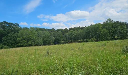 Photo #52 of 11145 BRENT TOWN RD, CATLETT, VA 36.9 acres