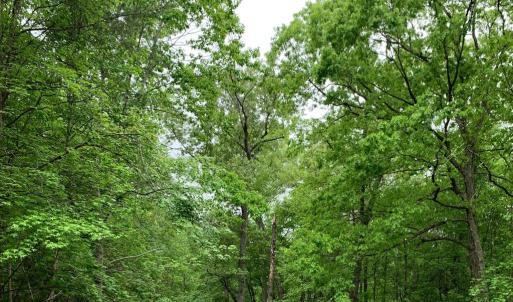 Photo #6 of LOIS LANE, BUMPASS, VA 1.0 acres