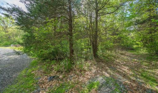 Photo #5 of PINEY RIDGE ROAD, REMINGTON, VA 9.3 acres