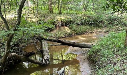 Photo #7 of BLACK HILL RD., RIXEYVILLE, VA 20.5 acres