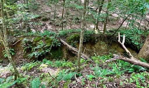 Photo #11 of BLACK HILL RD., RIXEYVILLE, VA 20.5 acres