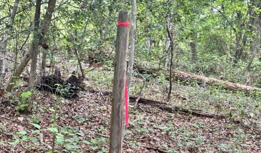 Photo #12 of BLACK HILL RD., RIXEYVILLE, VA 20.5 acres