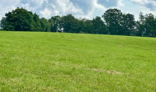Photo #13 of BLACK HILL RD., RIXEYVILLE, VA 20.5 acres