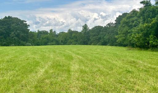 Photo #15 of BLACK HILL RD., RIXEYVILLE, VA 20.5 acres