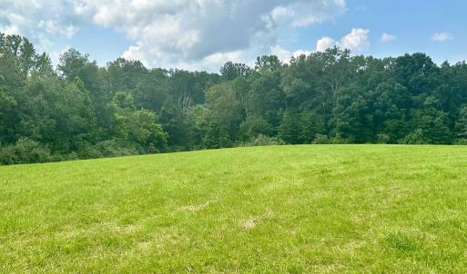 Photo #16 of BLACK HILL RD., RIXEYVILLE, VA 20.5 acres