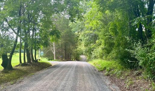 Photo #17 of BLACK HILL RD., RIXEYVILLE, VA 20.5 acres