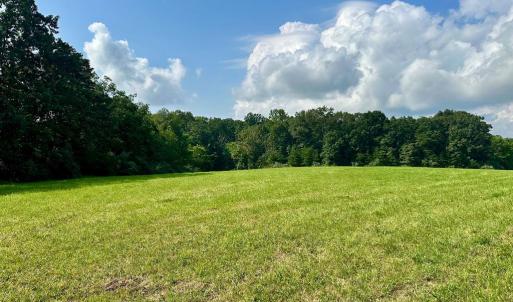 Photo #2 of BLACK HILL RD., RIXEYVILLE, VA 20.5 acres