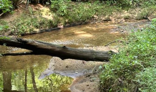 Photo #6 of BLACK HILL RD., RIXEYVILLE, VA 20.5 acres
