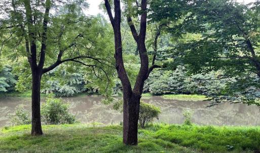 Photo #3 of HARMONY LANE, STANLEY, VA 1.1 acres