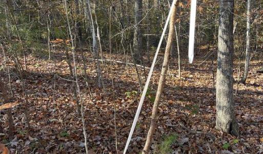 Photo #4 of 7120 DOMINIQUE DR, SPOTSYLVANIA, VA 5.4 acres