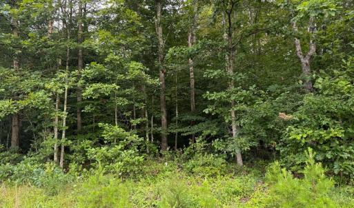 Photo #2 of GLADE RD, SHIPMAN, VA 11.1 acres