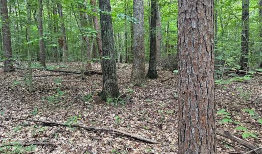 Photo #8 of GLADE RD, SHIPMAN, VA 11.1 acres