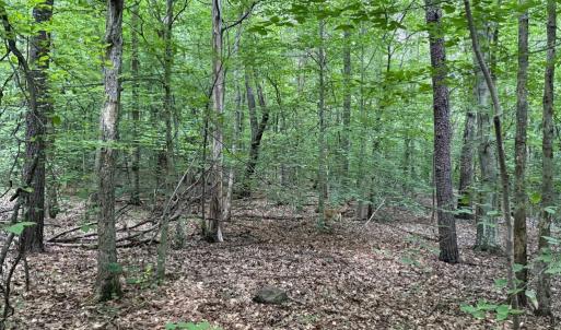 Photo #10 of GLADE RD, SHIPMAN, VA 11.1 acres