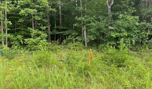 Photo #22 of GLADE RD, SHIPMAN, VA 11.1 acres