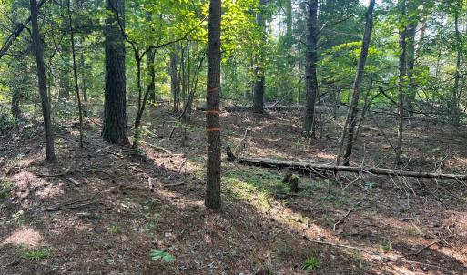 Photo #2 of LAKE FOREST DRIVE, MINERAL, VA 1.9 acres