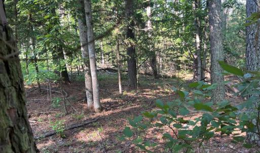 Photo #5 of LAKE FOREST DRIVE, MINERAL, VA 1.9 acres